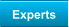 Experts