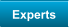 Experts